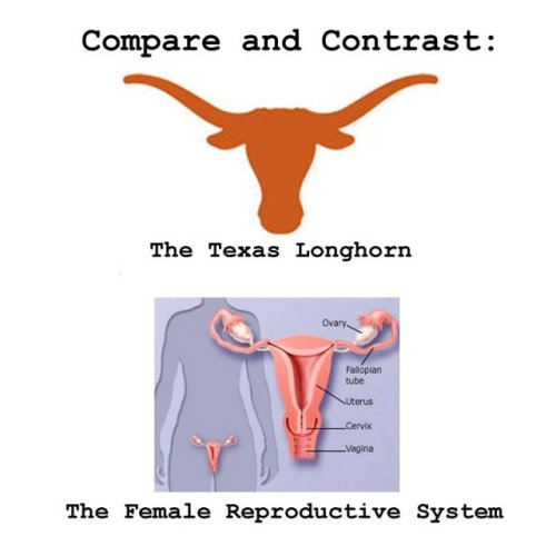 texas and frs texas and frs