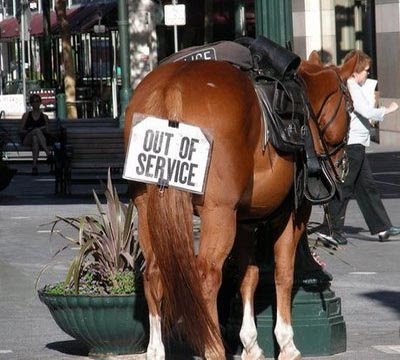 horse butt out of service