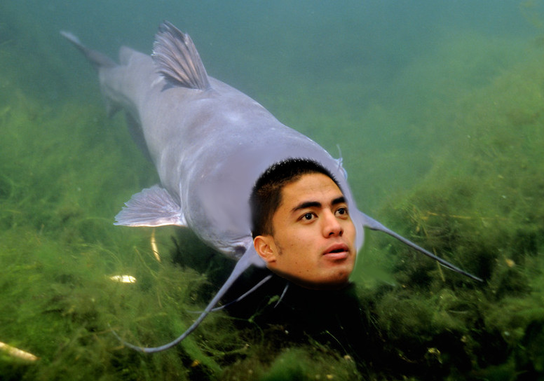 manti teo catfish