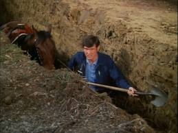 gage and horse in ditch