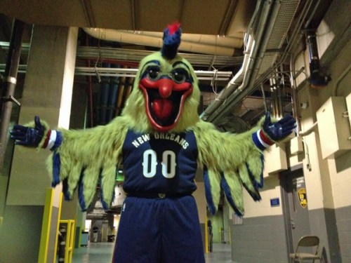 pierre the pelican
