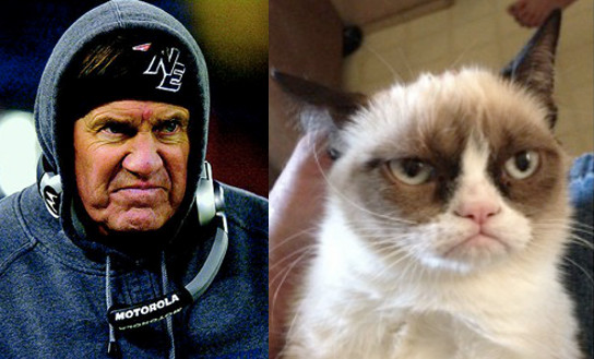 bill belichick grumpy cat