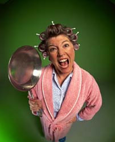 nagging-wife-curlers