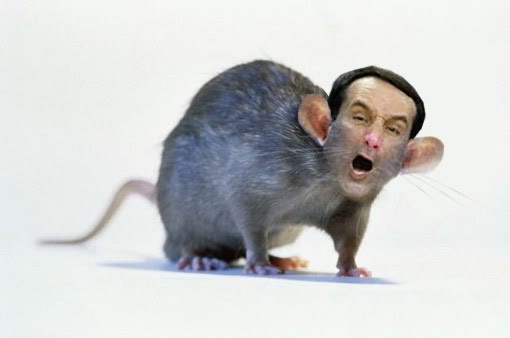 ratface