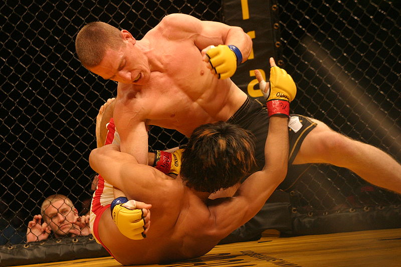 mixed martial arts
