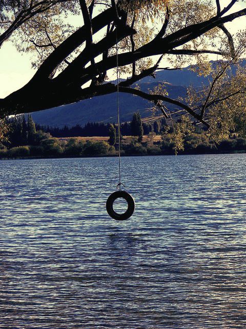 swimming hole with tire swing