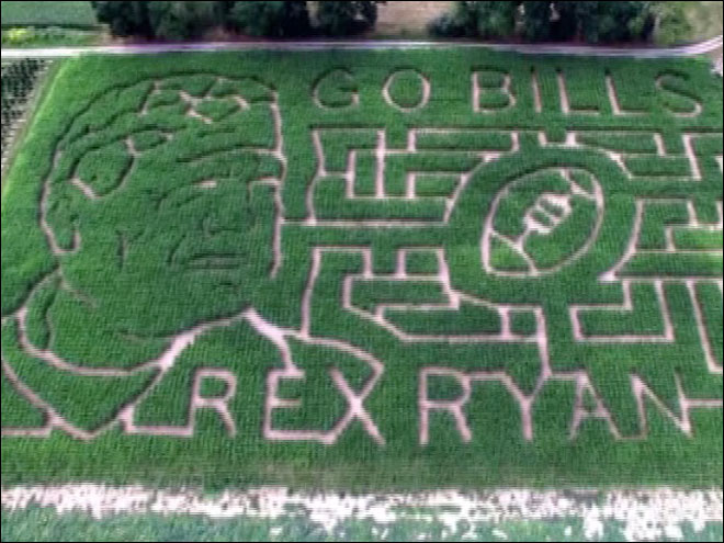 They already have a Rex Ryan corn maze. What more could you want?