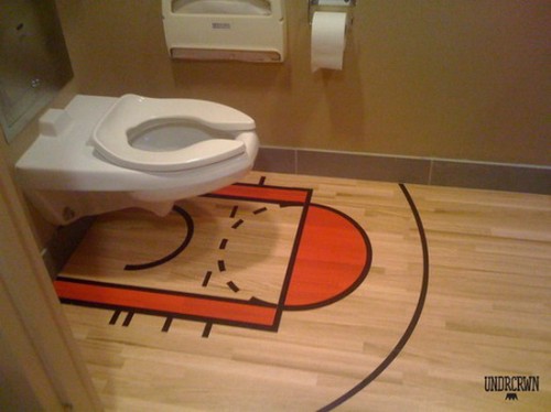 toilet hoop